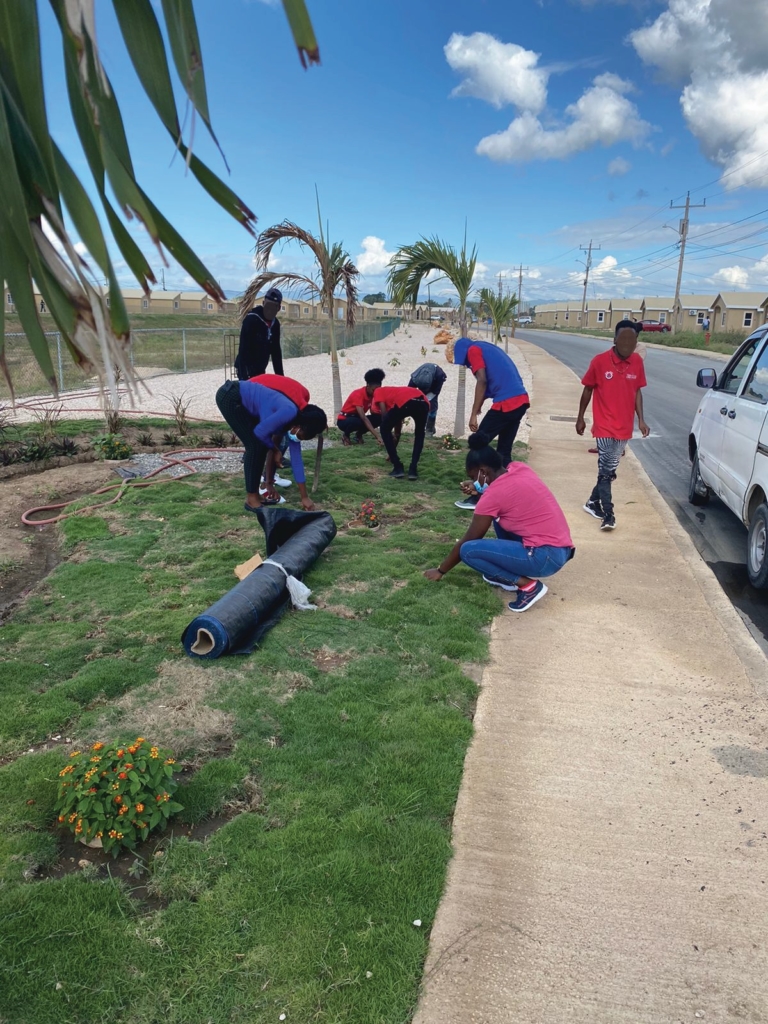 Landscaping2